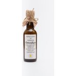 Sedmikráska bylinný extrakt Detoxikácia 250 ml – Hledejceny.cz