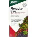 Salus Floradix sirup proti únavě 250 ml – Hledejceny.cz