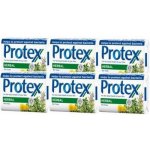 Protex Herbal antibakteriální toaletní mýdlo 6 x 90 g – Zboží Mobilmania