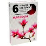 Admit Tea Lights Magnolia 6 ks – Hledejceny.cz