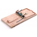 Allen Past na myši 2 ks - standard – Zbozi.Blesk.cz