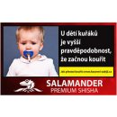 Shisha Salamander Premium suchý 20 g
