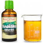 Bylinné kapky Pavlovy Andělika dahurská TCM tinktura 50 ml – Hledejceny.cz