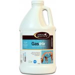 Horse Master Gastrix 1,89 l – Hledejceny.cz