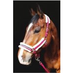 Kentaur Ohlávka podložená beránkem i lícnice + vodítko červená – Zboží Dáma