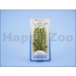 Tetra Anacharis 15 cm – Sleviste.cz