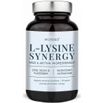 Nordbo L-Lysine Synergy 90 kapslí – Hledejceny.cz