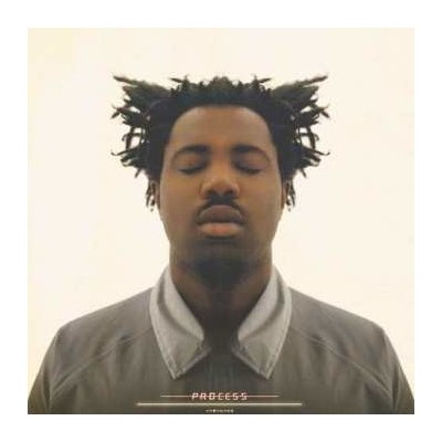 Sampha - Process LP – Zboží Mobilmania