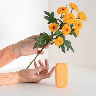 HAAN Antibakteriální sprej na ruce Healing Chrysants 30 ml – Zboží Mobilmania