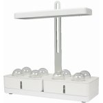 Ledvance 4058075576131 – Sleviste.cz