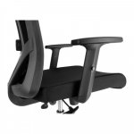 Neoseat Borosi – Zboží Dáma