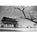 Coloriqa fototapeta Pagoda a Sakura Japonsko 1404 Materiál: Vinyl Premium, Rozměr: 152,5 x 104 cm M