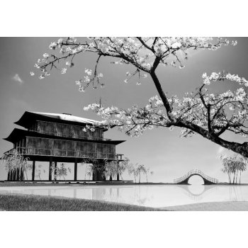 Coloriqa fototapeta Pagoda a Sakura Japonsko 1404 Materiál: Vinyl Premium, Rozměr: 208 x 146 cm L