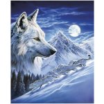 Norimpex Diamantové malování 5D Noční lovci 1007000 – Zbozi.Blesk.cz