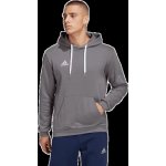 adidas ENTRADA 22 Sweat Hoodie HB0578 – Zboží Dáma