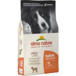 Almo Nature Holistic DOG Medium Adult Lamb and Rice 12 kg – Hledejceny.cz