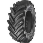 Alliance 365 Agristar 540/65-38 142A8/153D TL – Hledejceny.cz