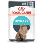 Royal Canin Veterinary Diet Cat Renal with Beef Feline 12 x 85 g – Zbozi.Blesk.cz