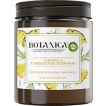 Botanica by Air Wick Fresh Pineapple & Tunisian Rosemary 205 g – Hledejceny.cz