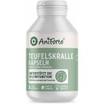 AniForte Africký Ďáblův dráp pro psy kapsle 100 kapslí – Hledejceny.cz