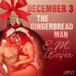 December 3: The Gingerbread Man - An Erotic Christmas Calendar (EN) – Hledejceny.cz