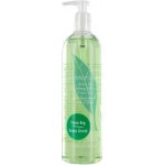 Elizabeth Arden Green Tea sprchový gel 500 ml – Zboží Mobilmania