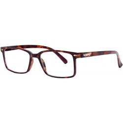 Zippo brýle na čtení 31ZB21DEM200