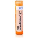 RHUS TOXICODENDRON POR 15CH GRA 4G – Zboží Mobilmania