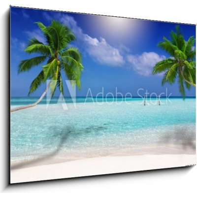 Skleněný obraz 1D - 100 x 70 cm - Traumstrand in den Tropen mit trkisem Meer, Kokosnusspalmen und feinem Sand Dream beach v tropech s tyrkysovým mořem, kokosovými palmam