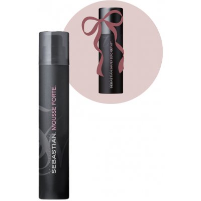 Sebastian Mousse Forte silně tužící pěna 200 ml – Hledejceny.cz