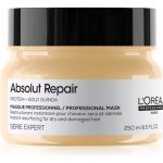 L'Oréal Expert Absolut Repair Gold Quinoa+Protein Golden Mask 250 ml – Zbozi.Blesk.cz