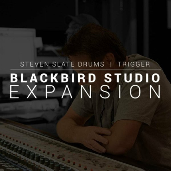 Program pro úpravu hudby Steven Slate SSD Blackbird Expansion