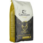 Canagan Dog Large Breed Free-Run Chicken 2 kg – Hledejceny.cz