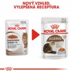 Royal Canin Ageing 12+ Jelly 85 g – Sleviste.cz