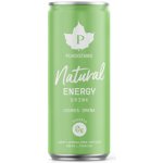 Puhdistamo Natural Energy Drink green apple Energetický nápoj zelené jablko 330 ml – Zboží Dáma