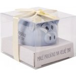 Albi Prasátko pro radost pokladnička Malé prasátko na velké sny 6 x 7,5 cm – Zboží Dáma