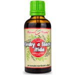 Bylinné kapky Klouby a šlachy .itida dříve Artristop 50 ml – Hledejceny.cz