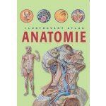 Anatomie Ilustrovaný atlas – Zbozi.Blesk.cz