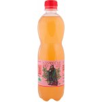 Stevikom Kombucha šípek 0,5 l – Zboží Dáma