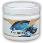 Golden Nature Rybí kolagen + vitamín C borůvka 250 g – Hledejceny.cz