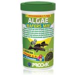 Prodac Algae Wafers Mini 100 ml – Sleviste.cz