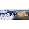 Puzzle Zdeko Šťastní tučňáci bez krabičky 1000 dílků