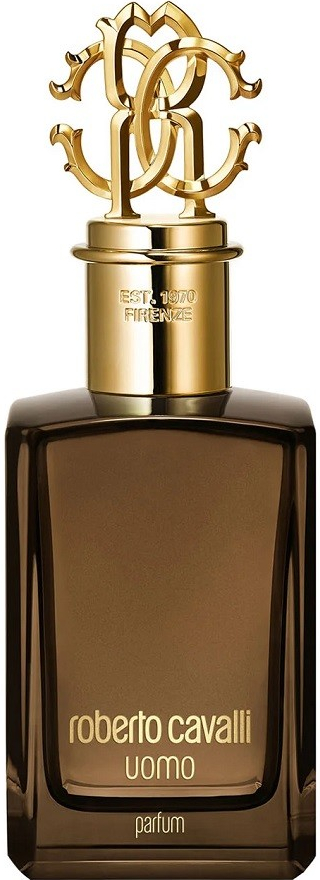 Roberto Cavalli Uomo Parfum parfémovaná voda pánská 100 ml