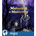 Meteorit z Mušlovky - Veronika Valentová – Hledejceny.cz