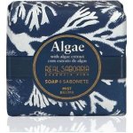 Real Saboaria Algae Soap luxusní mýdlo s vůní mořských řas 50 g – Zboží Mobilmania