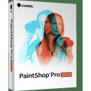 PaintShop Pro 2019 ML Mini Box - PSP2019MLMBEU
