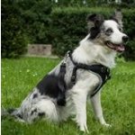 Trixie Dog Protect postroj do auta – Hledejceny.cz