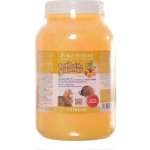 IV San Bernard MARACUJA 3250 ml – HobbyKompas.cz