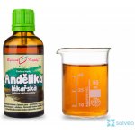 Bylinné kapky Andělika lékařská tinktura 50 ml – Hledejceny.cz