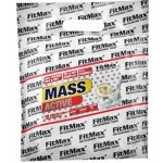 Fitmax Mass Active 5000 g – Hledejceny.cz